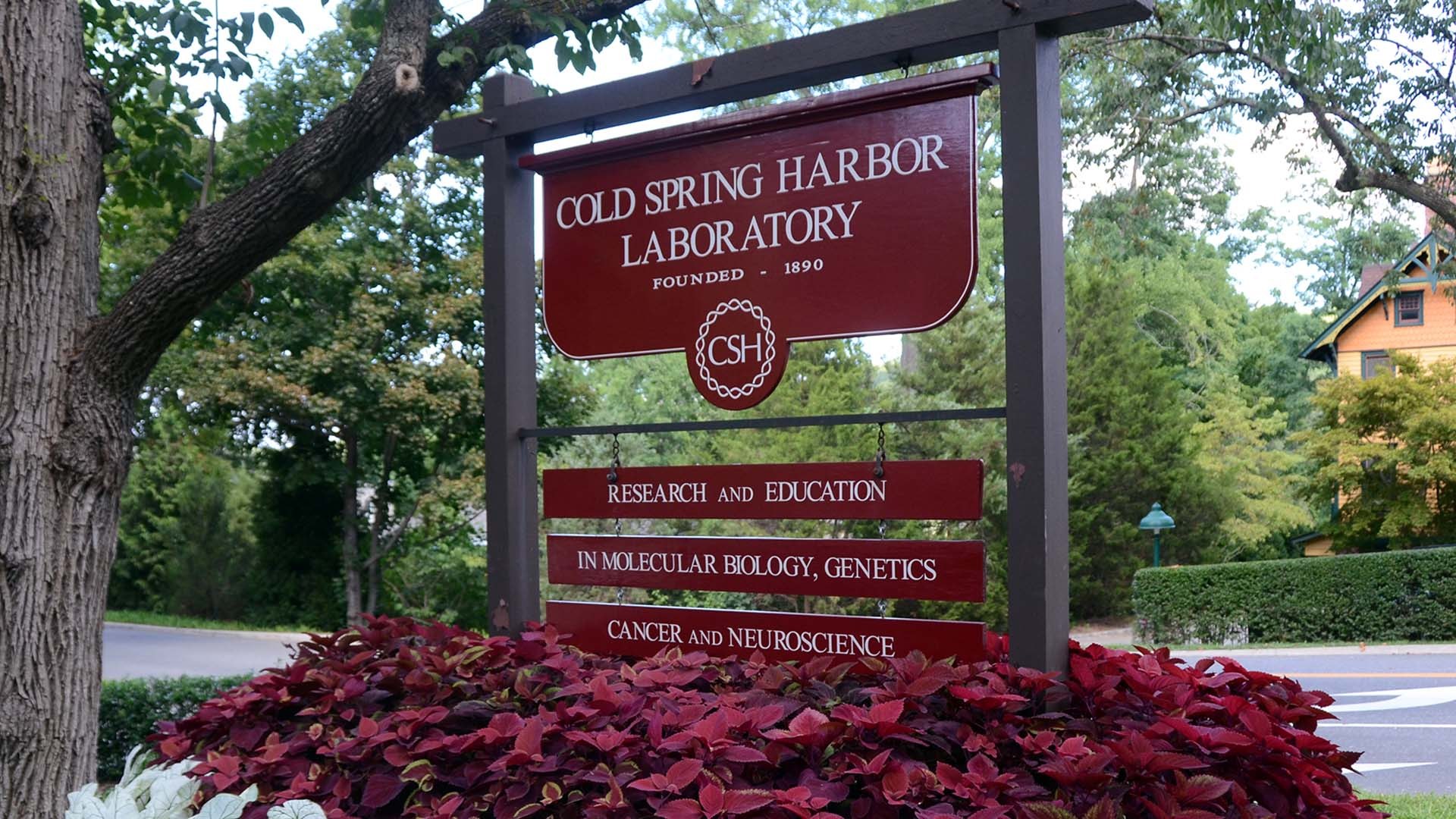 Cold Spring Harbor Laboratory entrance sign among trees and red coleus