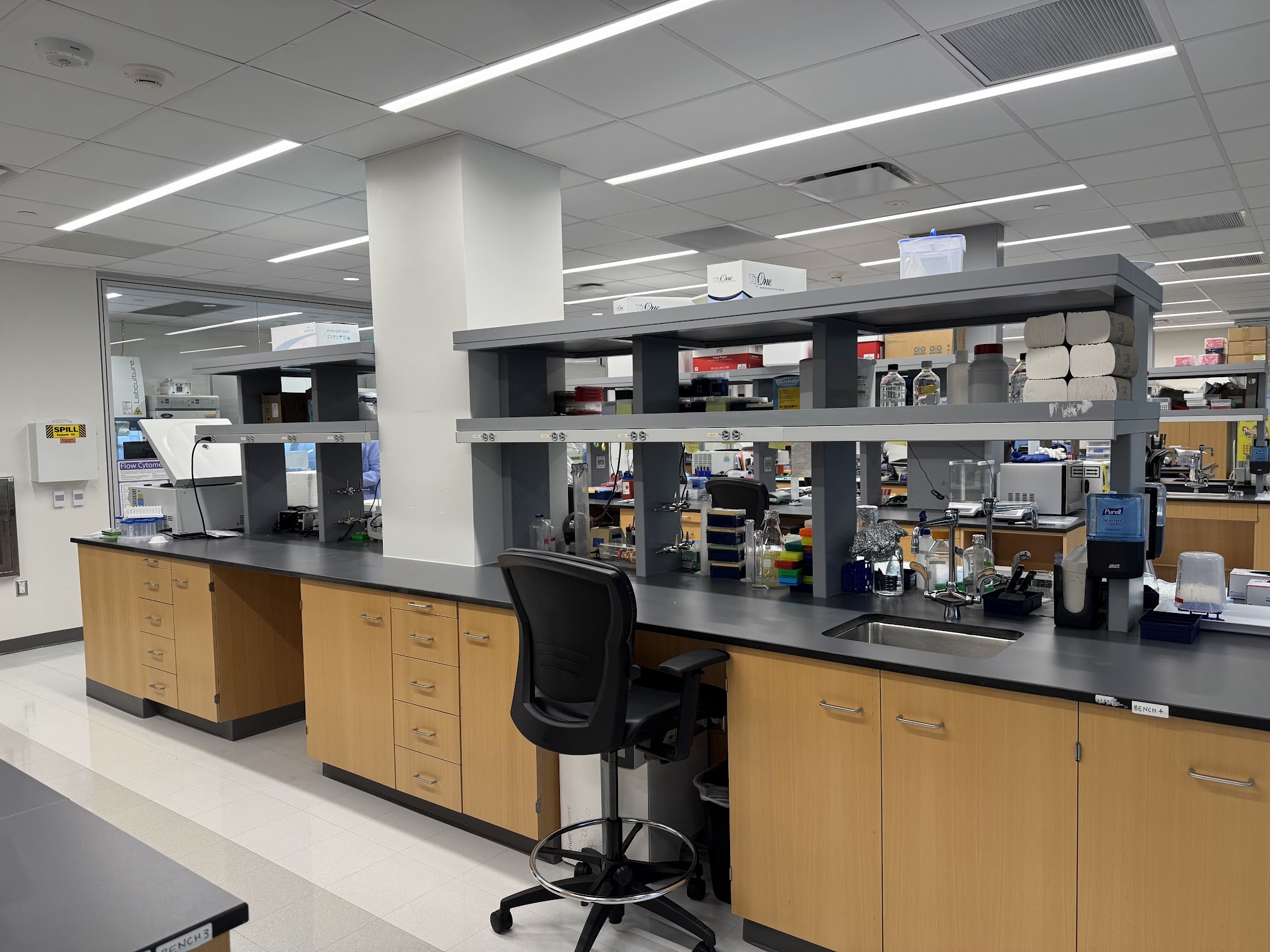 Laboratory bench space in the Liu Lab