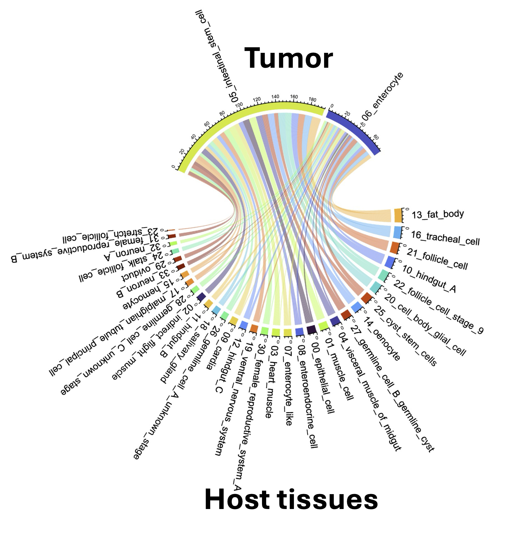 Chord diagram of predicted signaling from tumor cells to host tissues